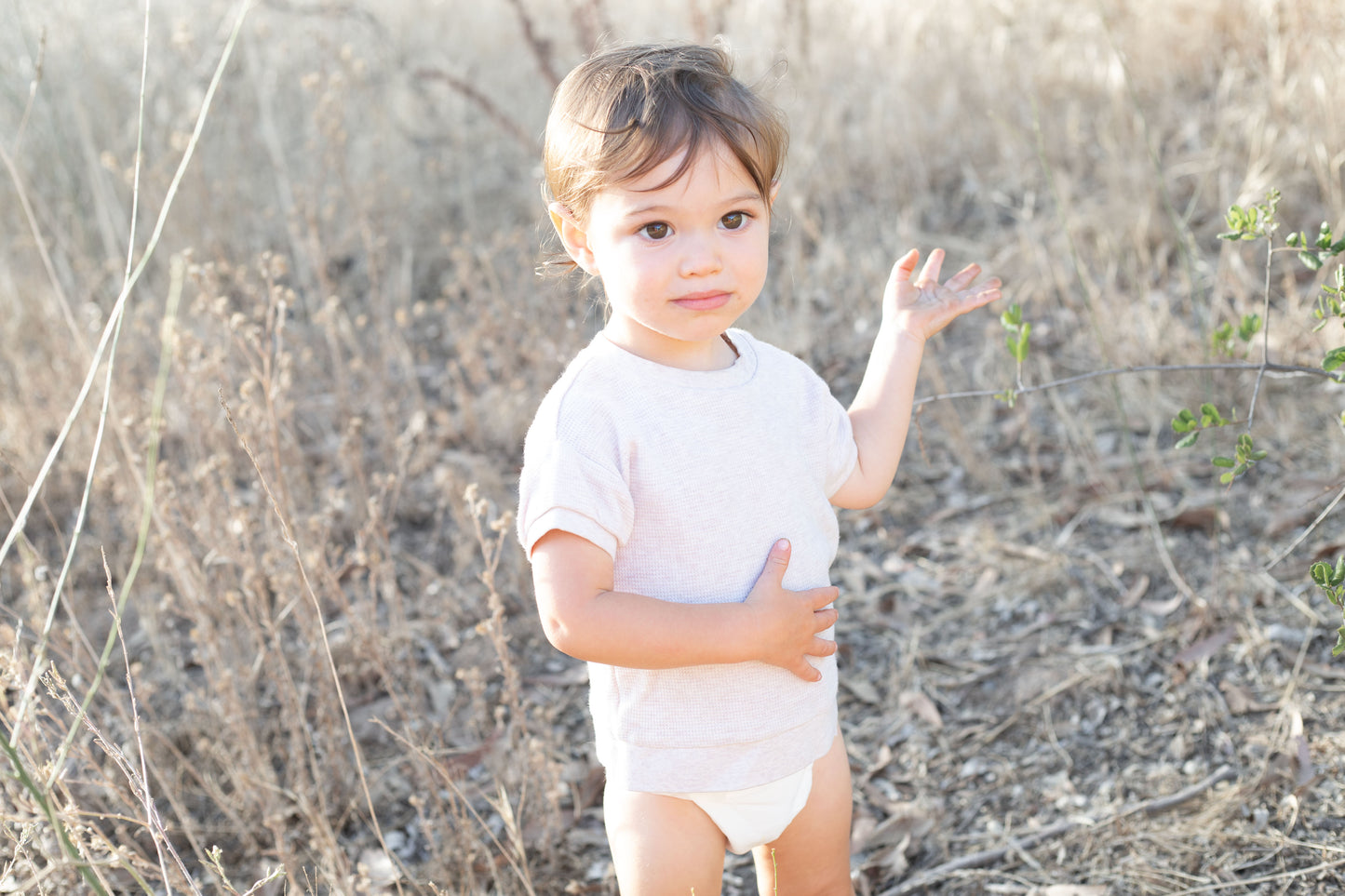 Diaper